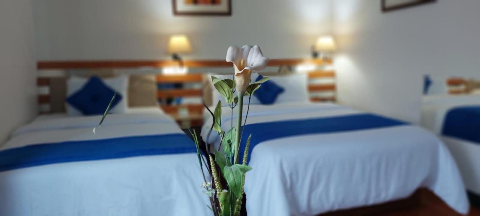 Blue Star Hotel Lima Dış mekan fotoğraf